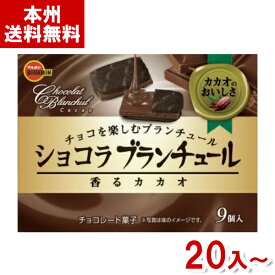 ブルボン 9枚 ショコラブランチュール 香るカカオ (クッキー ラングドシャ チョコレート) (本州送料無料)