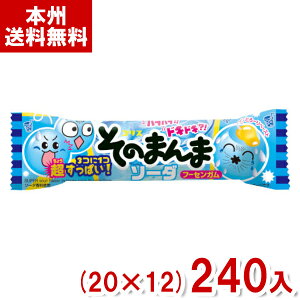 RX ̂܂ \[_ t[ZK (20×12)240 (ʉَq \tgK َq) (Y10)(P[X̔) ({B)