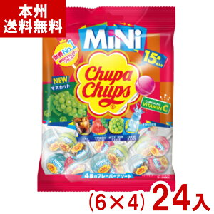 �N���V�G 15�{ �`���b�p�`���v�X �~�j �A�\�[�g�o�b�O (6×4)24�ܓ� (�t���[�o�[�͕ϓ����܂�) (Y80) (�{�B��������)