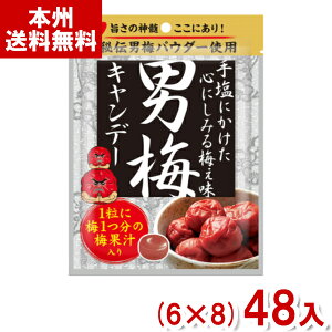 m[x 80g j~Lf[ (6×8)48 (MǑ΍ ⋋  j~ LfB) (P[X̔)(Y12) ({B)