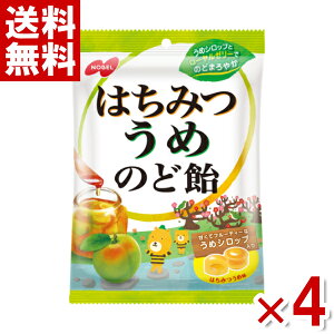 m[x ݂͂߂̂ǈ 110g×4܃Zbg (|Cg) (CP)(ܖ2027.5) ([֑S)