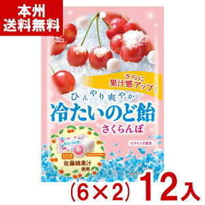 pC 60g ₽̂ǈ  (6×2)12 (Ԍ ̂ǂ ̂ǃPA  LfB َq) (Y80) ({B)
