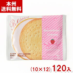 Oc Xgx[Th rXPbg T[` (َq ̑i ii ܂Ƃߔ) ({B)