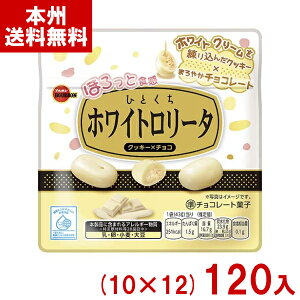 �u���{�� 43g �ЂƂ����z���C�g�����[�^ (10×12)120�� (�`���R���[�g �N�b�L�[ ���َq �i�i) (�P�[�X�̔�)(Y12) (�{�B��������)