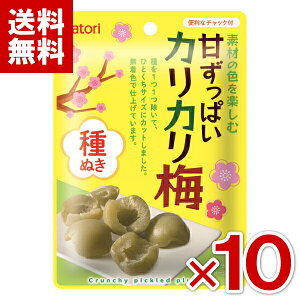 (ܖ2026.1.16) ȂƂ fނ̐Fy ÂςJJ~ ʂ 22g×10 (ŒZo) (AEgbg 󂠂 َq A ؂i Z[ ݌ɏ) (|Cg) (np) () (