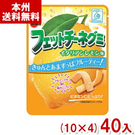 ブルボン 50g フェットチーネグミ イタリアンレモン味 (10×4)40入 (グミ お菓子 おやつ まとめ買い) (Y80) (本州送料無料)