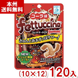 u{ 50g tFbg`[lO~ R[ (10×12)120 (َq ii ʔ̔ Cxg) (Y12)(P[X̔) ({B)