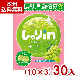 Jo 52g inO~ }XJbg\[_ (10×3)30 (VH O~ َq ii ʔ̔ ̑i ܂Ƃߔ) (Y80) ({B)