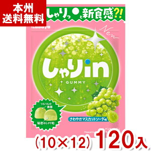 Jo 52g inO~ }XJbg\[_ (10×12)120 (VH O~ َq ii ̑ ܂Ƃߔ) (P[X̔)(Y12) ({B)