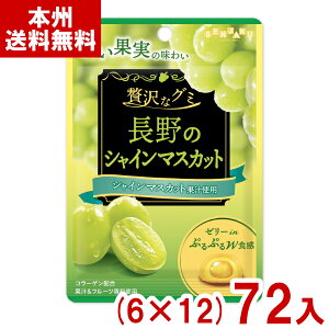 { 34g ґȃO~ ̃VC}XJbg (6×12)72 (Ԃǂ O~ َq) (YP[X̔)(Y10) ({B)