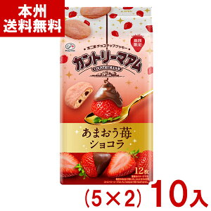 s 12 Jg[}A ܂䕃VR (5×2)10 (Ԍ NbL[ ĉَq  َq ii) (Y80) ({B)