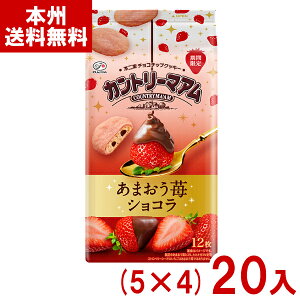 s 12 Jg[}A ܂䕃VR (5×4)20 (Ԍ NbL[ َq ii) (P[X̔)(Y12) ({B)