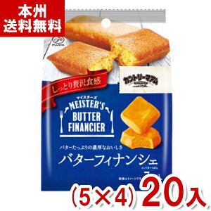 s 7 Jg[}A}CX^[Y o^[tBiVF (5×4)20 (NbL[ َq ii) (Y12) ({B)