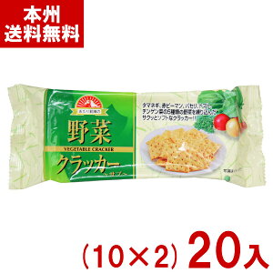 前田製菓 15枚 野菜クラッカー (10×2)20入 (野菜 クラッカー おつまみ お菓子 おやつ 景品 販促品) (Y10) (本州送料無料)