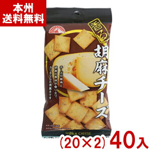 Oc 35g Ӗ`[Y (20×2)40 (XibN ܂ `[Y ZT~  َq ii) (2P[X̔) (Y10) ({B)