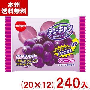 `[CK `[L O[v (20×12)240 (ʉَq َq ii ̑i) (P[X̔)(Y10) ({B)