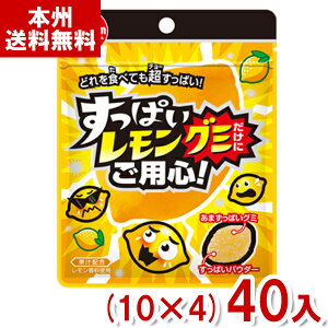 `[CK 28g ςO~ɂpS (10×4)40 ( O~ ʉَq َq ii) (Y80) ({B)