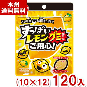 `[CK 28g ςO~ɂpS (10×12)120 (O~ َq ii) (P[X̔)(Y10) ({B)