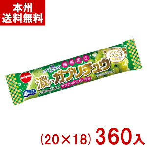 `[CK ZKu`E }XJbgXp[N (20×18)360 (Ԍ َq ʉَq ii) (P[X̔)(Y10) ({B)