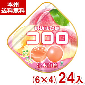 o 40g R  (6×4)24 (Ԍ   O~ َq  ii ܂Ƃߔ) (Y80) ({B)