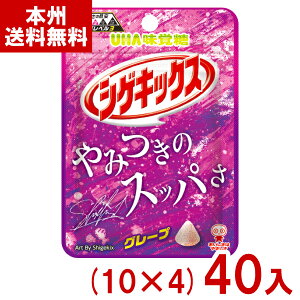 o 20g VQLbNX O[v (10×4)40 (Ԃǂ O[v O~ ς َq  ii) (Y80) ({B)