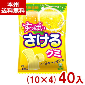 o 7 ςO~ T[ (10×4)40 (O~ َq  ii ܂Ƃߔ) (Y80) ({B)