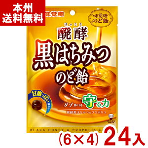 味覚糖 80g 醗酵黒はちみつのど飴 (6×4)24入 (蜂蜜 プロポリス のどあめ のどケア キャンディ) (Y80) (本州送料無料)