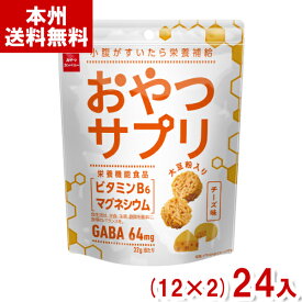 おやつカンパニー 32g おやつサプリ チーズ味 (12×2)24入 (栄養機能食品) (Y10) (本州送料無料)