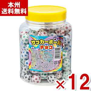 ₨ TbJ[{[`R 100×12 (ŒZo) (TbJ[ `R[g َq ʉَq ii Cxg ei) (P[X̔)(Y10) (ŒZܖ2026.8) () ({B)