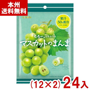 { 84g }XJbĝ܂ (12×2)24 (}XJbg LfB  َq ii) (2P[X̔)(Y10) ({B)