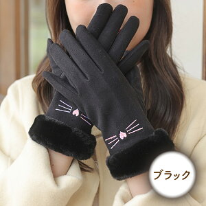  fB[X 킢 g  ĂԂ X}zΉ ~p O[u H~   tebukuro02