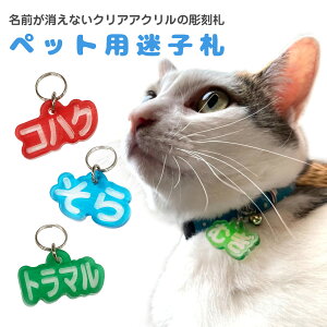 qD  L ybg D l[v[g NAAN ܂ӂ I[_[[h   ˂ pn-tag-02