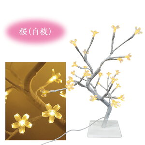 c[Cg e[uCg ドCg LEDCg NX}Xc[ Cg C~l[VCg ԃCg  킢 CeA v[g tree-light