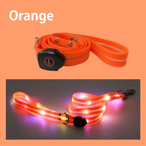 p  LEDCg [h ^ ^ ^  킢 v [v 1.2m ₷ Ck  pet-lead03