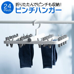 nK[ s`nK[ ܂肽 oT~  nK[ nK[ 24s` ȃXy[X V pinch-hg02