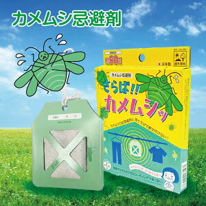 JV JV   ݂艺  kame-mushi