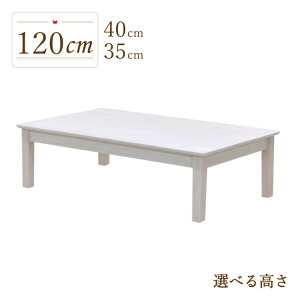 [e[u rJbg Z~I[_[ _CjOe[u  120cm 35cm 40cm ؐ mindi120za-360-cut zCgEHbV 4lp rO H k Ebh_CjO Vv 킢 P