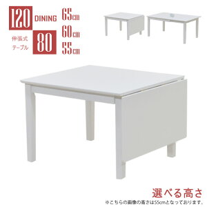 [e[u rJbg Z~I[_[ Lk _CjOe[u zCgF 120/80cm 2lp 4lp ac120bata-360wh-cut 65cm 60cm 55cm  F o^tC V L L ܂肽 GNXe