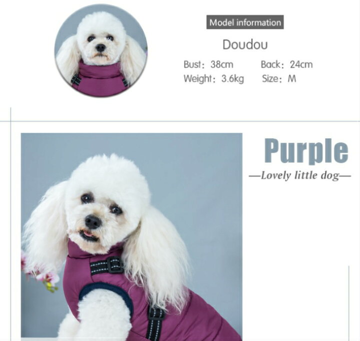 楽天市場】犬の服 ダウンベスト ダウンジャケット ハーネス付き ドッグウェア スターワッペンベスト あったかい 防寒 防水 : おたからばこ 楽天市場】犬の服 ダウンベスト ダウンジャケット ハーネス付き ドッグウェア スターワッペンベスト あったかい 防寒 防水 : おたからばこ