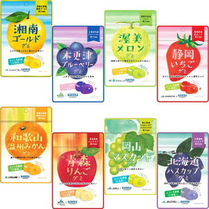 お試し 8種類各1袋 8袋セット販売 期間限定 カネカ食品 JA 共同開発 グミ 乳酸菌入り 湘南ゴールド 木更津ブルーベリー 渥美メロン 静岡いちご 和歌山温州みかん 青森りんご 岡山マスカット