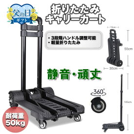 キャリーカート 折りたたみ式 軽量 台車 コンパクト 持ち運び ハンドキャリー ショッピングカート 4輪 折り畳み 固定ロープ 静音 小型 買い物 アウトドア