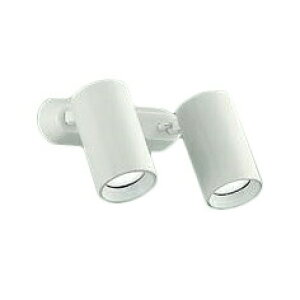 大光 DSL-5400WWG LEDスポットライト 吹抜け・傾斜天井用 フランジタイプ 要電気工事 50°拡散光タイプ 調光可能 昼白色 白熱灯100W×2灯相当 照明器具 天井付・壁付兼用