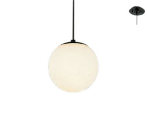 遠藤照明 ERP7128BB LEDZ LAMP ペンダントライト 本体のみ ランプ別売(E26) 無線調光対応 要電気工事 施設照明