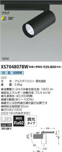 �R�C�Y�~�Ɩ� XS704807BW LED�V�����_�[�X�|�b�g���C�g X-Pro �v���O�^�C�v 2000lm�N���X HID35W���� ���F 30° �����^�C�v �{�ݏƖ� �V��Ɩ�