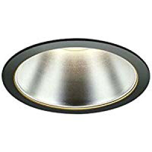 RCY~Ɩ AD45810L LEĎ^_ECgiM`j 125 x[X^Cv Lp 񒲌 F M100W hJ^ Ɩ VƖ