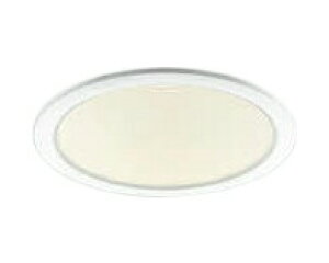 �R�C�Y�~ AD53000 LED�_�E�����C�g M�^ �R���t�H�[�g �d���F FHT42W���� ������100 �x�[�X�^�C�v �U�� �񒲌� �Ɩ���� �V��Ɩ�