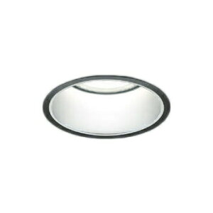 RCY~Ɩ XD051504BN LEDx[X_ECg X-Pro 150 5500/4500lmNX HID100W [^ Vo[R[ F 55° Ή {ݏƖ VƖ