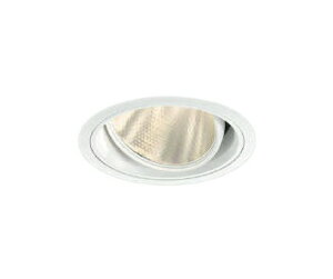 �R�C�Y�~�Ɩ� XD102107WL LED���j�o�[�T���_�E�����C�g X-Pro ������125 ��^ HID70�`100W���� 4000/3500lm�N���X �d���F3000K 30° �����Ή� �{�ݏƖ� �V��Ɩ� �X�ܗp