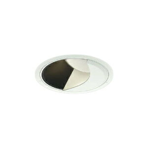 �R�C�Y�~�Ɩ� XD302521WW LED�E�H�[���E�H�b�V���[�_�E�����C�g X-Pro ������125 HID70�`35W���� 2500/2000lm�N���X ���F 45° �����Ή� �{�ݏƖ� �V��Ɩ� �X�ܗp