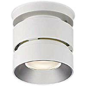 RCY~Ɩ XH91158L LEDV[O_ECg OAJbg15° F 60° HID100W 4500lmNX Ή {ݏƖ VƖ